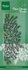 TC0842-Clear-Stamp-Tinys-border-pine-tree-branches