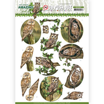 SB10487 3D Push Out - Amy Design - Amazing Owls - Forest Owls