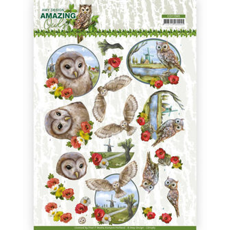 CD11565 3D Cutting Sheet - Amy Design - Amazing Owls - Meadow Owls