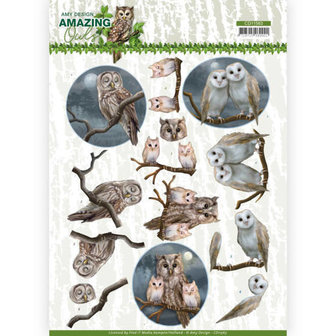 CD11563 3D Cutting Sheet - Amy Design - Amazing Owls - Night Owls