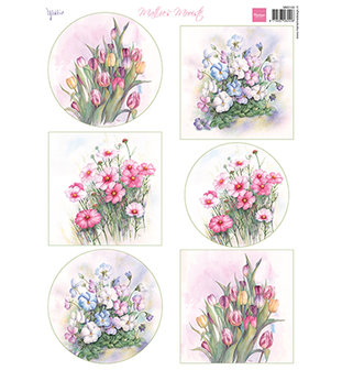 MB0193 Knipvel Mattie&#039;s Mooiste - Floral Spring