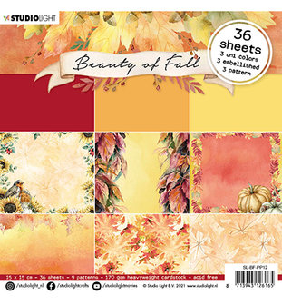 SL-BF-PP12 - SL Paper pad Pattern paper Beauty of Fall nr.12.jpg