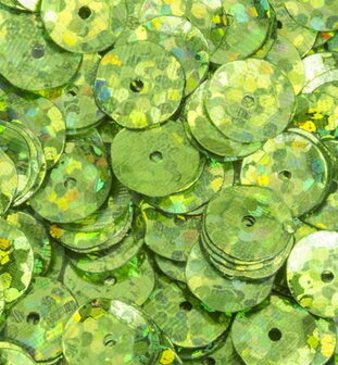 17101-1234 Pailletten - sequins disco groen 8 gr..jpg
