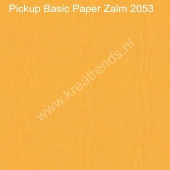 PI2053 Pickup Basic Paper Zalm.jpg
