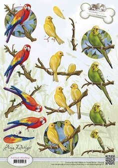 CD10539 Knipvel Amy Design Animal Medley Tropical Parrots