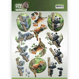 CD11300 3D Knipvel - Amy Design - Wild Animals - Bears