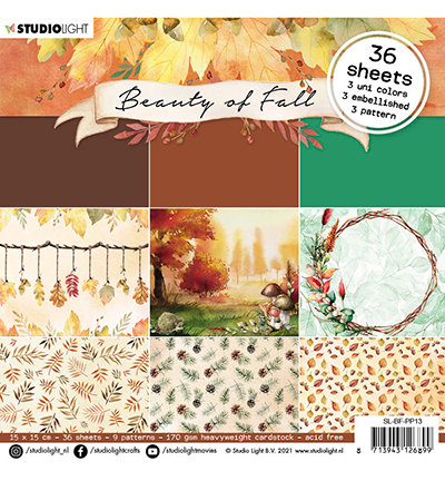 SL-BF-PP13 - SL Paper pad Pattern paper Beauty of Fall nr.13.jpg
