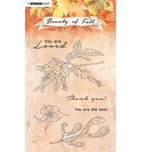 SL-BF-STAMP64 - SL Clear stamp Rose hips Beauty of Fall nr.64.jpg