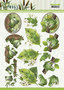3D knipvel - Amy Design - Friendly Frogs - Tree Frogs