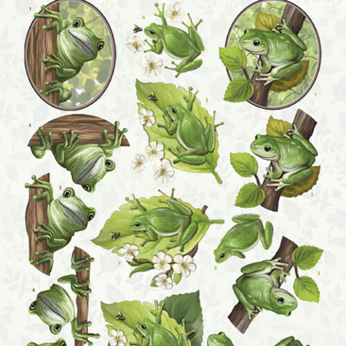 CD11620 3D cutting sheet - Amy Design - Friendly Frogs - Tree Frogs CD11620 3D cutting sheet - Amy Design - Friendly Frogs - Tree Frogs