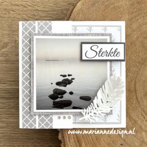 Marianne Design - Creatables LR0854 - Feather by Marleen