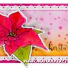 TC0902 Marianne Design - Clearstamps and dies - Tiny's Flowers - Poinsettia vb