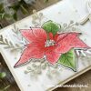 Marianne Design - Clearstamps and dies TC0902 - Tiny's Flowers - Poinsettia