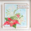 Marianne Design - Clearstamps and dies TC0902 - Tiny's Flowers - Poinsettia
