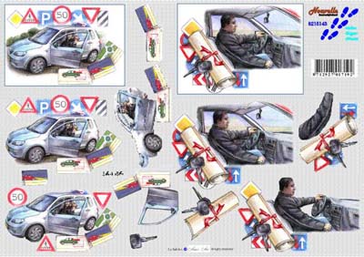 8215.143 Le Suh 3d knipvel geslaagd - rijbewijs