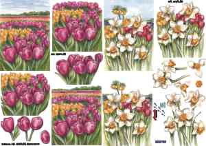 8215.186 Le Suh 3d knipvel bloemen - tulpen
