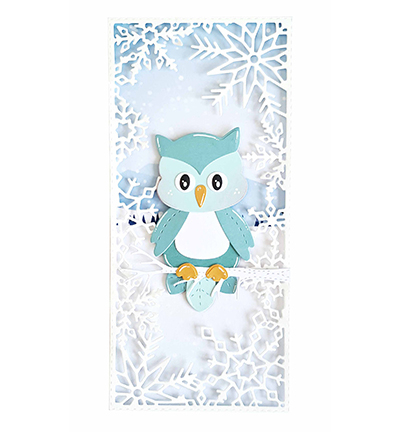 CCL-FR-CD701 - Accessoires birds Friendz nr.701 vb
