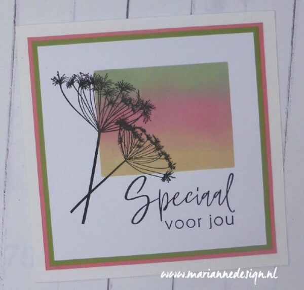 CS1048 Clearstamps Colorful Silhouette - Botanical vb5 Clearstamps - Marianne Design - Colorful Silhouette Botanical