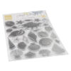 Clearstamps silhouette sea shells Clearstamps silhouette sea shells