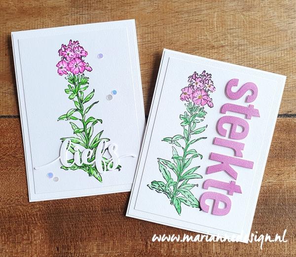 TC0915 Marianne Design - Clearstamps - Tiny's borders - Phlox vb
