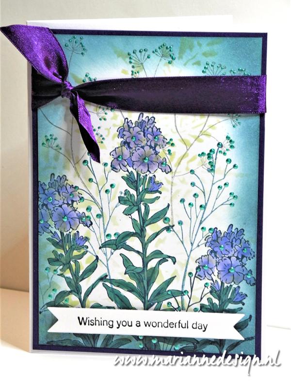 TC0915 Marianne Design - Clearstamps - Tiny's borders - Phlox vb