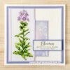 TC0915 Marianne Design - Clearstamps - Tiny's borders - Phlox vb