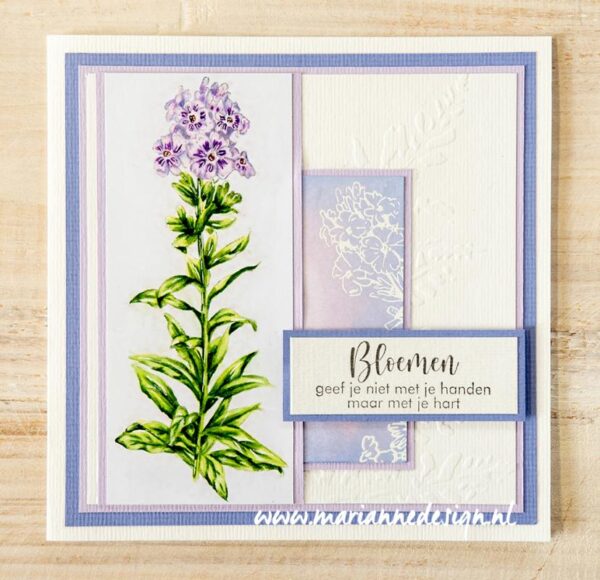 TC0915 Marianne Design - Clearstamps - Tiny's borders - Phlox vb