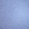 Achterkant mulberry blauw met goud opdruk (2)