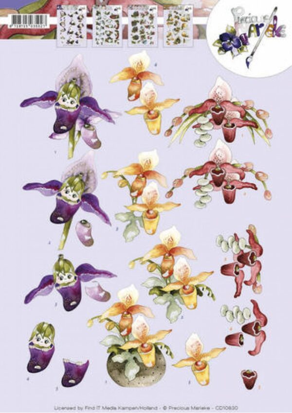 Knipvel - Precious Marieke - Orchideeën