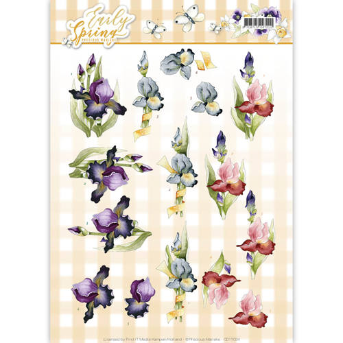 Knipvel bloemen irissen