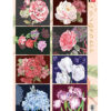 Knipvel bloemen