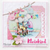 Knipvel Hetty's Mice geboorte