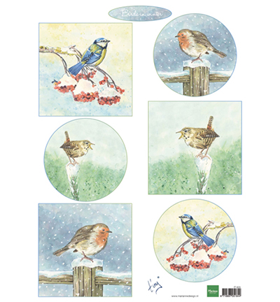 Knipvel vogels