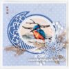 Knipvel Mattie vogels in de winter