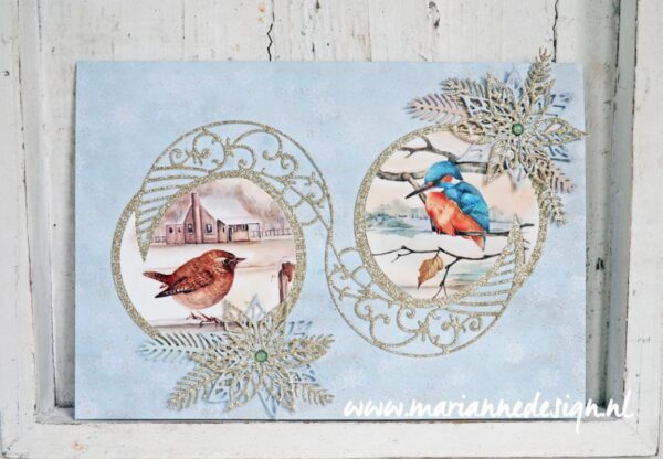 Knipvel Mattie vogels in de winter