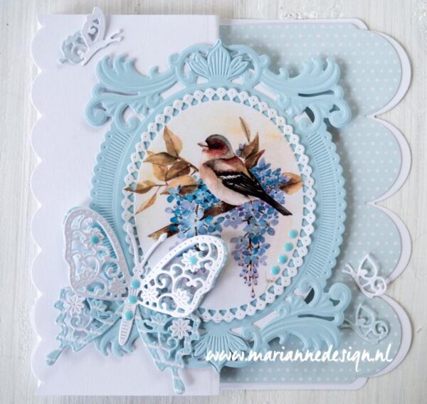 Knipvel Mattie's Mooiste rozen, vogel