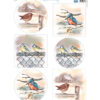 Knipvel Mattie vogels in de winter