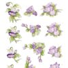 Uitdrukvel Purple Blossom