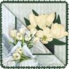 CD12291 Knipvel - Amy Design - Tulip Dreams - Romantic Tulips vb Knipvel romantische tulpen