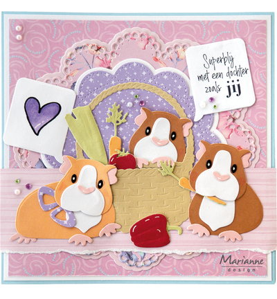 CS1197 - Clear Stamp – Familie & Vrienden