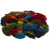 Veertjes - assortiment kleurtjes 3 g/ 1 pack